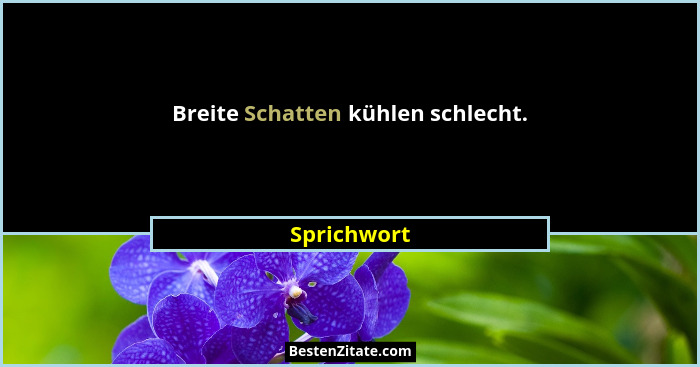 Breite Schatten kühlen schlecht.... - Sprichwort