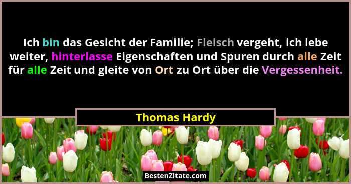 Ich bin das Gesicht der Familie; Fleisch vergeht, ich lebe weiter, hinterlasse Eigenschaften und Spuren durch alle Zeit für alle Zeit u... - Thomas Hardy