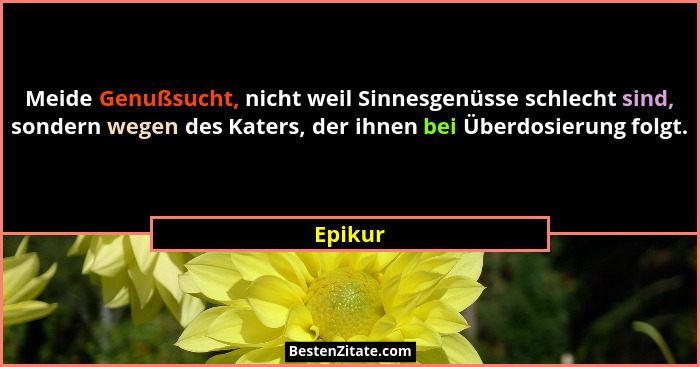 Meide Genußsucht, nicht weil Sinnesgenüsse schlecht sind, sondern wegen des Katers, der ihnen bei Überdosierung folgt.... - Epikur