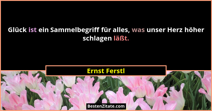 Glück ist ein Sammelbegriff für alles, was unser Herz höher schlagen läßt.... - Ernst Ferstl