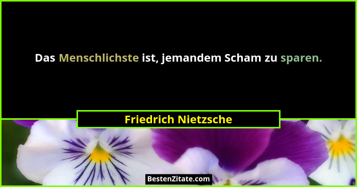 Das Menschlichste ist, jemandem Scham zu sparen.... - Friedrich Nietzsche