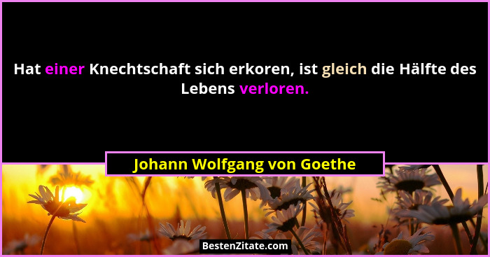 Hat einer Knechtschaft sich erkoren, ist gleich die Hälfte des Lebens verloren.... - Johann Wolfgang von Goethe