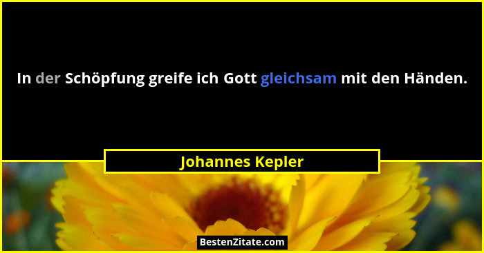 In der Schöpfung greife ich Gott gleichsam mit den Händen.... - Johannes Kepler