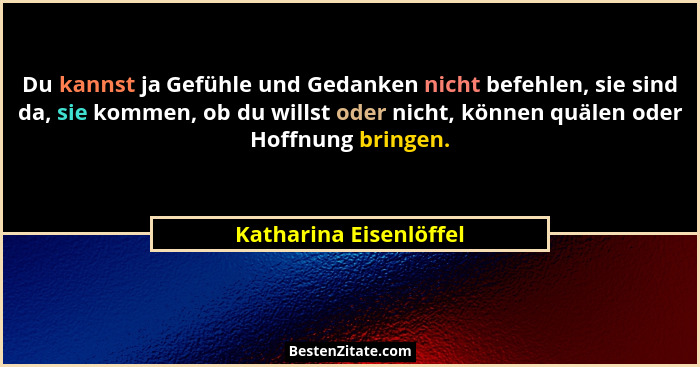Du kannst ja Gefühle und Gedanken nicht befehlen, sie sind da, sie kommen, ob du willst oder nicht, können quälen oder Hoffnun... - Katharina Eisenlöffel