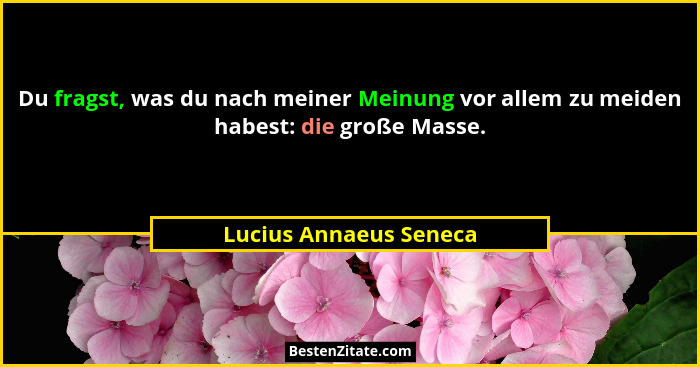 Du fragst, was du nach meiner Meinung vor allem zu meiden habest: die große Masse.... - Lucius Annaeus Seneca