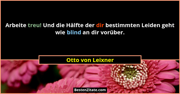 Arbeite treu! Und die Hälfte der dir bestimmten Leiden geht wie blind an dir vorüber.... - Otto von Leixner