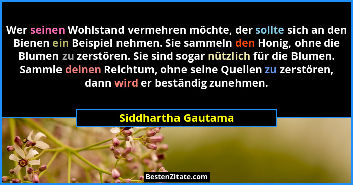 Wer seinen Wohlstand vermehren möchte, der sollte sich an den Bienen ein Beispiel nehmen. Sie sammeln den Honig, ohne die Blumen... - Siddhartha Gautama