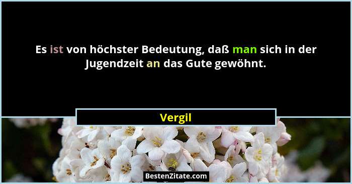 Es ist von höchster Bedeutung, daß man sich in der Jugendzeit an das Gute gewöhnt.... - Vergil