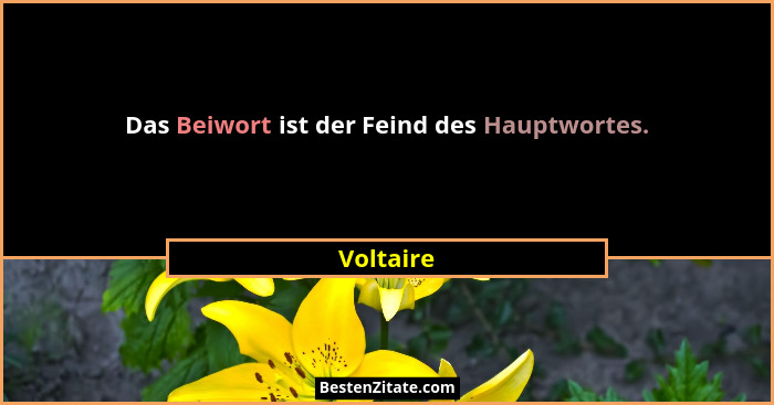 Das Beiwort ist der Feind des Hauptwortes.... - Voltaire