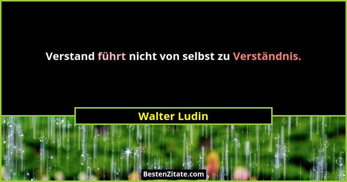Verstand führt nicht von selbst zu Verständnis.... - Walter Ludin