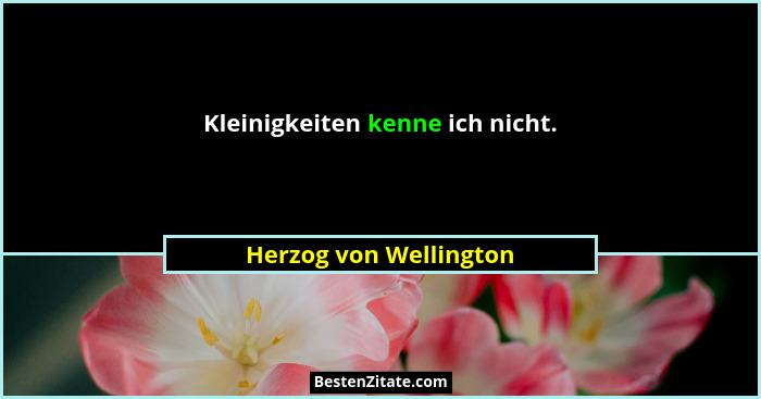 Kleinigkeiten kenne ich nicht.... - Herzog von Wellington