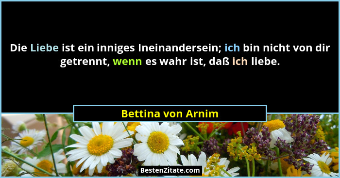 Die Liebe ist ein inniges Ineinandersein; ich bin nicht von dir getrennt, wenn es wahr ist, daß ich liebe.... - Bettina von Arnim