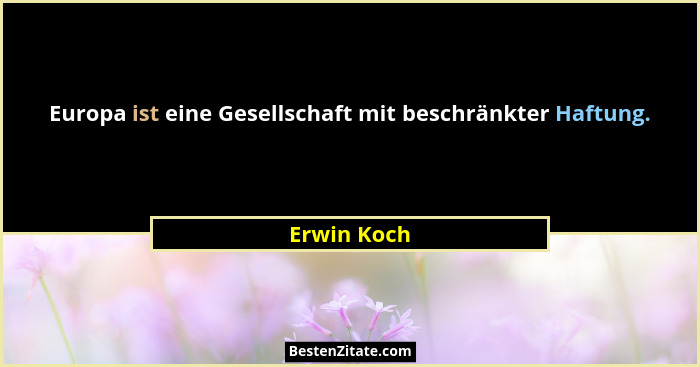Europa ist eine Gesellschaft mit beschränkter Haftung.... - Erwin Koch