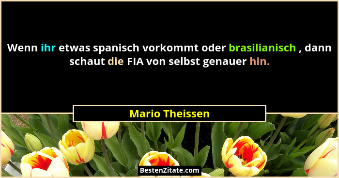 Wenn ihr etwas spanisch vorkommt oder brasilianisch , dann schaut die FIA von selbst genauer hin.... - Mario Theissen