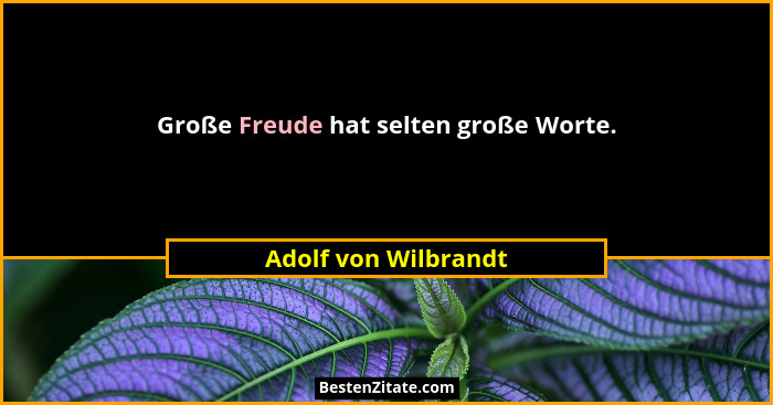 Große Freude hat selten große Worte.... - Adolf von Wilbrandt