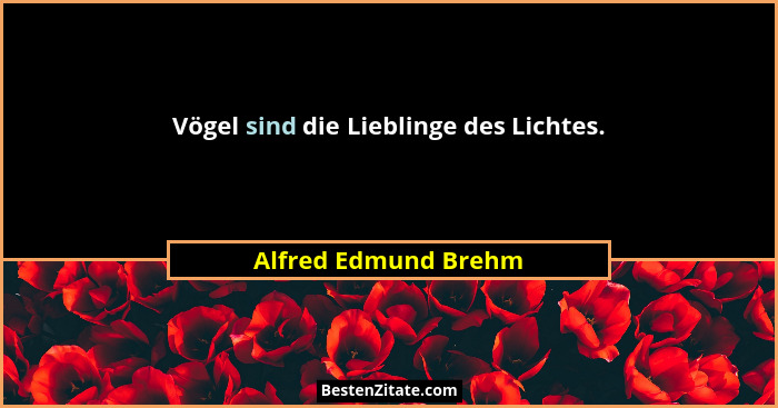 Vögel sind die Lieblinge des Lichtes.... - Alfred Edmund Brehm