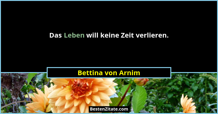 Das Leben will keine Zeit verlieren.... - Bettina von Arnim