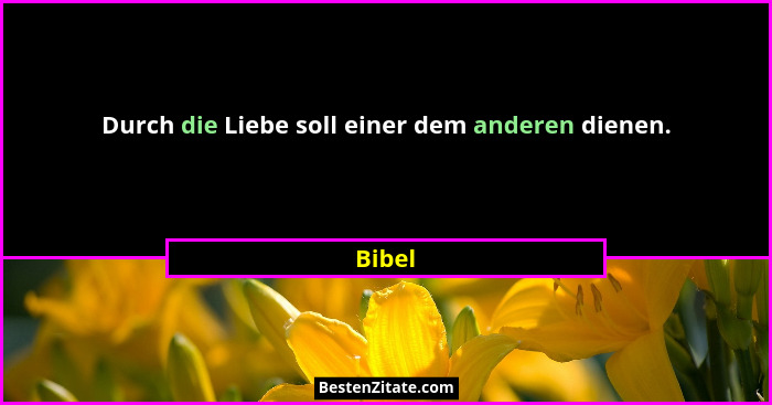 Durch die Liebe soll einer dem anderen dienen.... - Bibel