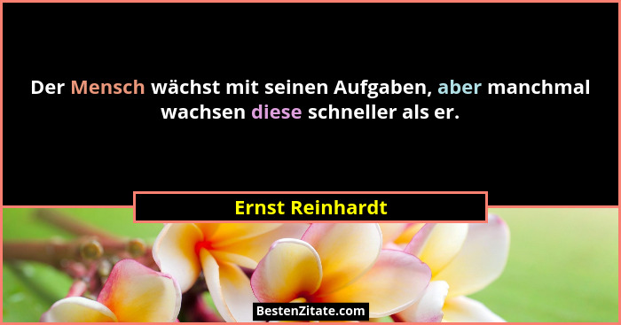 Der Mensch wächst mit seinen Aufgaben, aber manchmal wachsen diese schneller als er.... - Ernst Reinhardt