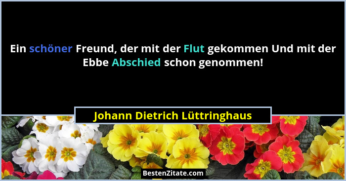 Ein schöner Freund, der mit der Flut gekommen Und mit der Ebbe Abschied schon genommen!... - Johann Dietrich Lüttringhaus