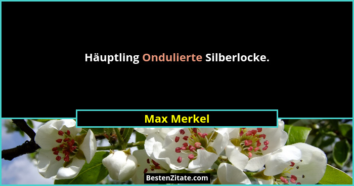 Häuptling Ondulierte Silberlocke.... - Max Merkel