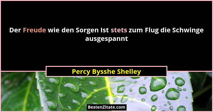 Der Freude wie den Sorgen Ist stets zum Flug die Schwinge ausgespannt... - Percy Bysshe Shelley