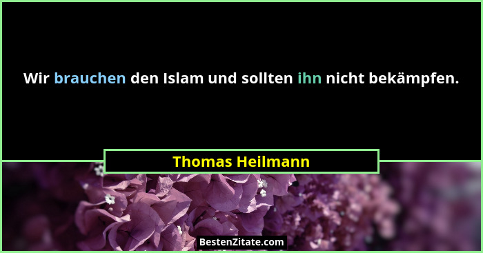 Wir brauchen den Islam und sollten ihn nicht bekämpfen.... - Thomas Heilmann