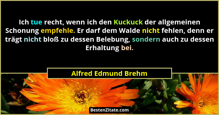 Ich tue recht, wenn ich den Kuckuck der allgemeinen Schonung empfehle. Er darf dem Walde nicht fehlen, denn er trägt nicht bloß... - Alfred Edmund Brehm