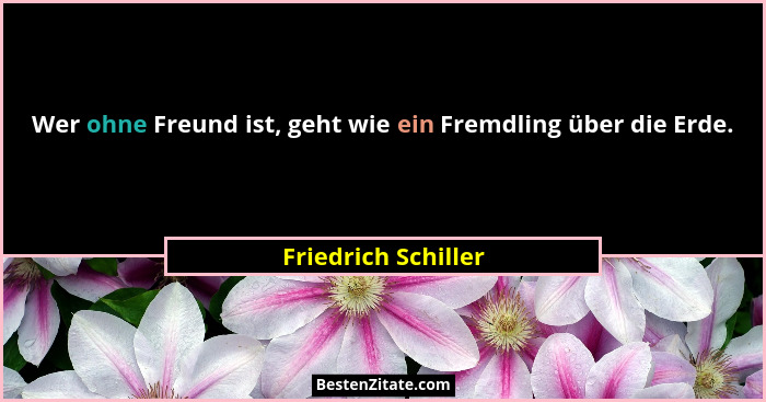 Wer ohne Freund ist, geht wie ein Fremdling über die Erde.... - Friedrich Schiller