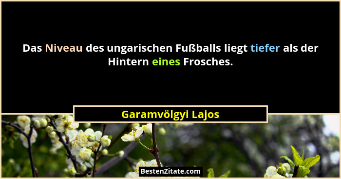 Das Niveau des ungarischen Fußballs liegt tiefer als der Hintern eines Frosches.... - Garamvölgyi Lajos