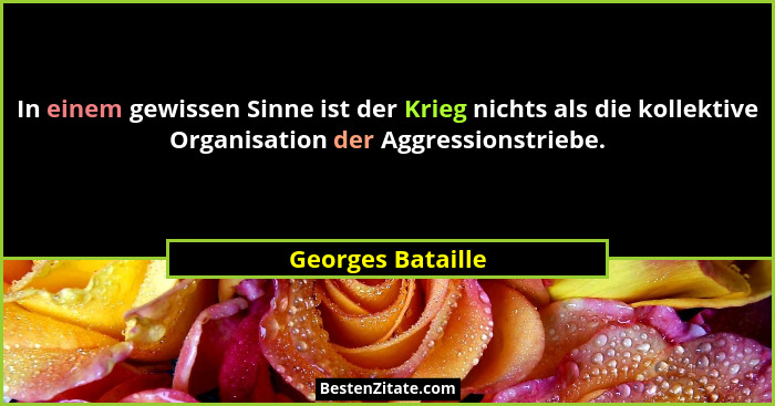 In einem gewissen Sinne ist der Krieg nichts als die kollektive Organisation der Aggressionstriebe.... - Georges Bataille