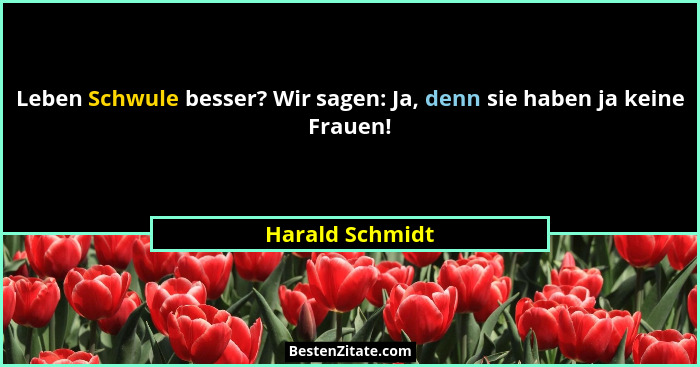 Leben Schwule besser? Wir sagen: Ja, denn sie haben ja keine Frauen!... - Harald Schmidt