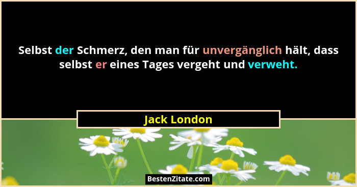 Selbst der Schmerz, den man für unvergänglich hält, dass selbst er eines Tages vergeht und verweht.... - Jack London