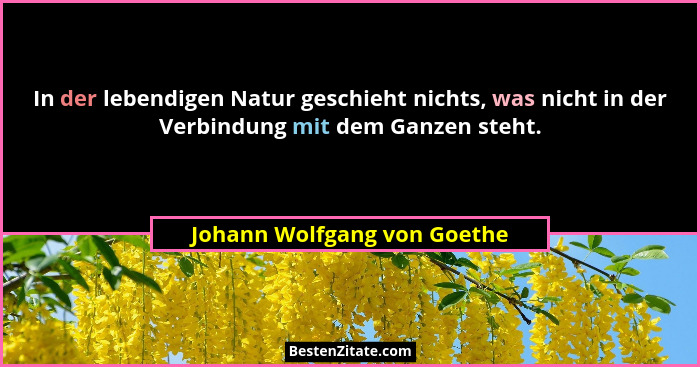 In der lebendigen Natur geschieht nichts, was nicht in der Verbindung mit dem Ganzen steht.... - Johann Wolfgang von Goethe