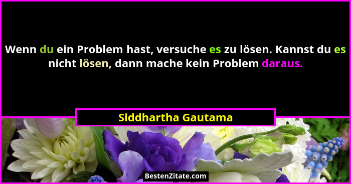 Wenn du ein Problem hast, versuche es zu lösen. Kannst du es nicht lösen, dann mache kein Problem daraus.... - Siddhartha Gautama