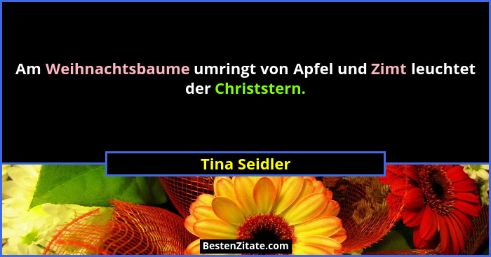 Am Weihnachtsbaume umringt von Apfel und Zimt leuchtet der Christstern.... - Tina Seidler