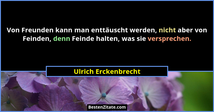 Von Freunden kann man enttäuscht werden, nicht aber von Feinden, denn Feinde halten, was sie versprechen.... - Ulrich Erckenbrecht
