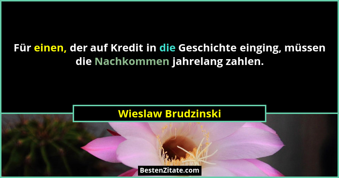 Für einen, der auf Kredit in die Geschichte einging, müssen die Nachkommen jahrelang zahlen.... - Wieslaw Brudzinski