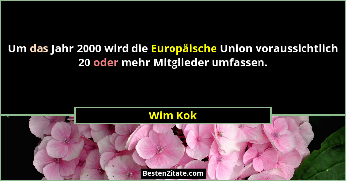 Um das Jahr 2000 wird die Europäische Union voraussichtlich 20 oder mehr Mitglieder umfassen.... - Wim Kok