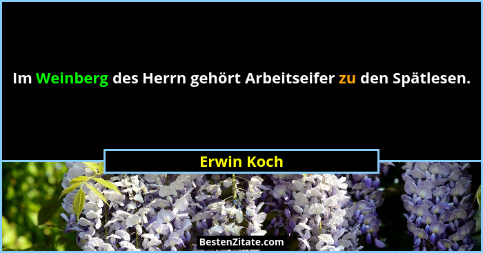 Im Weinberg des Herrn gehört Arbeitseifer zu den Spätlesen.... - Erwin Koch