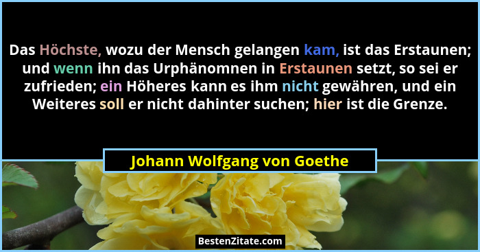 Das Höchste, wozu der Mensch gelangen kam, ist das Erstaunen; und wenn ihn das Urphänomnen in Erstaunen setzt, so sei er... - Johann Wolfgang von Goethe