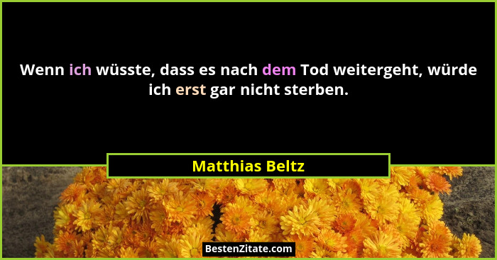 Wenn ich wüsste, dass es nach dem Tod weitergeht, würde ich erst gar nicht sterben.... - Matthias Beltz