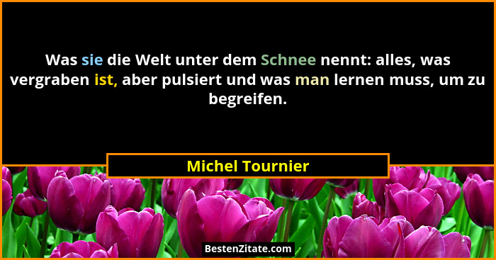 Was sie die Welt unter dem Schnee nennt: alles, was vergraben ist, aber pulsiert und was man lernen muss, um zu begreifen.... - Michel Tournier