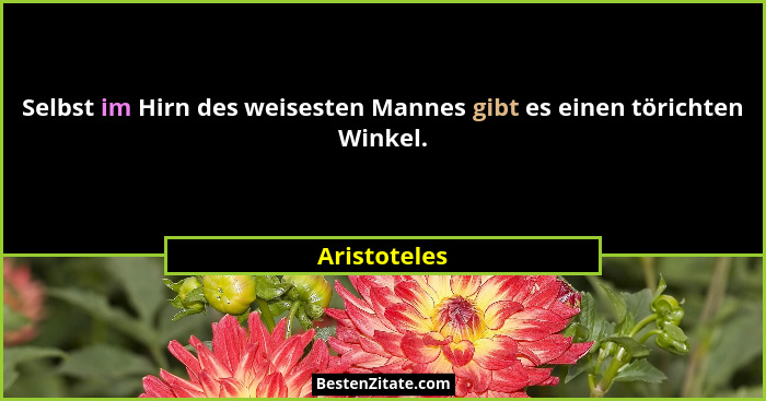 Selbst im Hirn des weisesten Mannes gibt es einen törichten Winkel.... - Aristoteles
