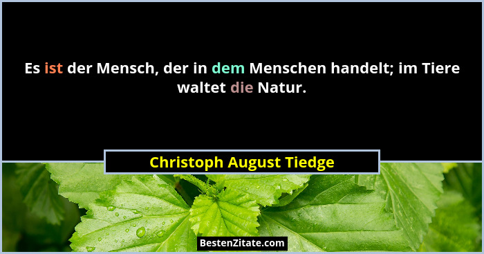 Es ist der Mensch, der in dem Menschen handelt; im Tiere waltet die Natur.... - Christoph August Tiedge