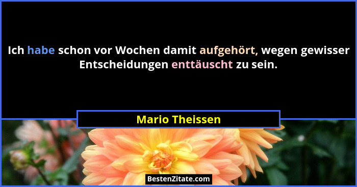 Ich habe schon vor Wochen damit aufgehört, wegen gewisser Entscheidungen enttäuscht zu sein.... - Mario Theissen