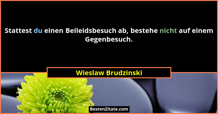 Stattest du einen Beileidsbesuch ab, bestehe nicht auf einem Gegenbesuch.... - Wieslaw Brudzinski