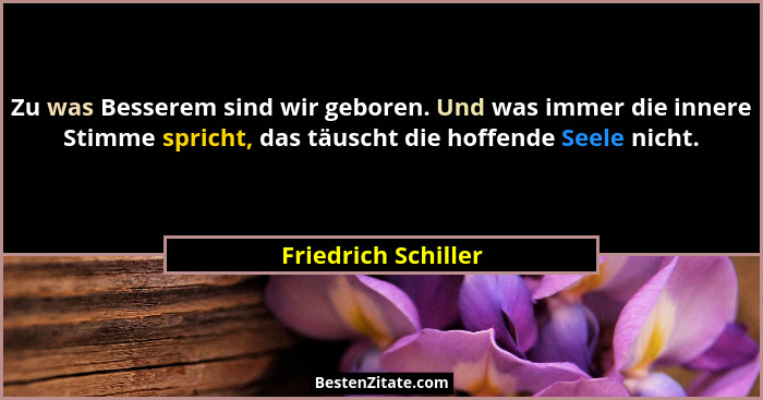 Zu was Besserem sind wir geboren. Und was immer die innere Stimme spricht, das täuscht die hoffende Seele nicht.... - Friedrich Schiller