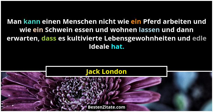 Man kann einen Menschen nicht wie ein Pferd arbeiten und wie ein Schwein essen und wohnen lassen und dann erwarten, dass es kultivierte... - Jack London