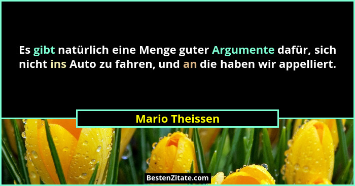 Es gibt natürlich eine Menge guter Argumente dafür, sich nicht ins Auto zu fahren, und an die haben wir appelliert.... - Mario Theissen